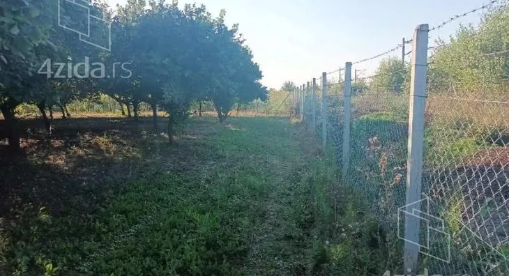 Plac | 4zida