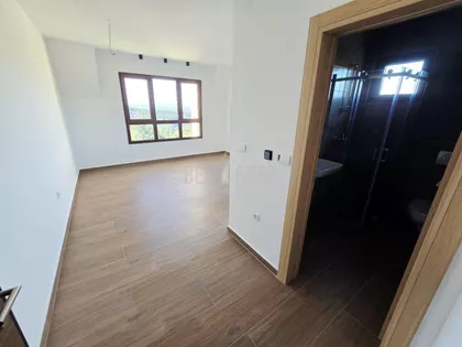 Belog narcisa | 4zida.rs