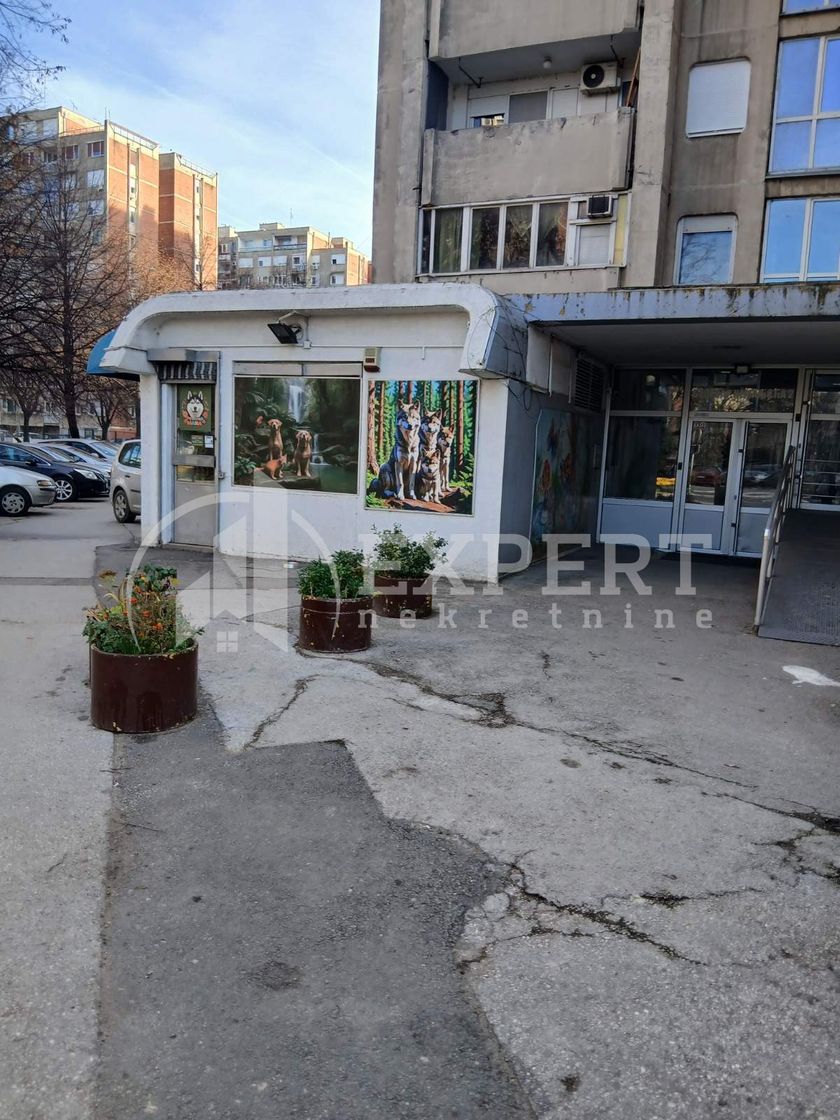 Lokal, Niš