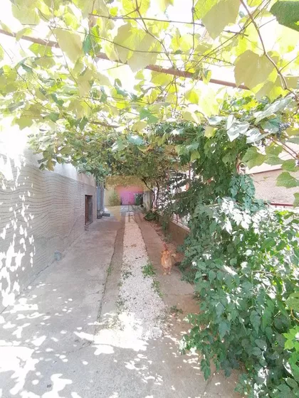 Bulbulder | 4zida.rs