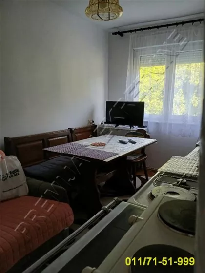Jabučki rit | 4zida.rs