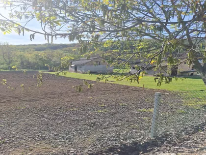 Pinkijeva 2 | 4zida.rs