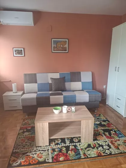 Spasenije Cane Babović | 4zida.rs