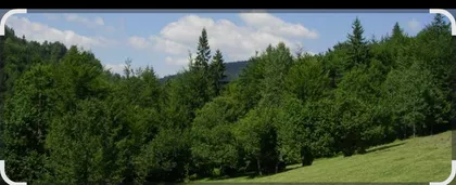Oštra stena | 4zida.rs
