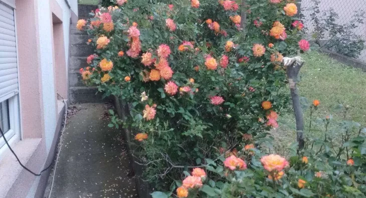 3-etažna kuća | 4zida