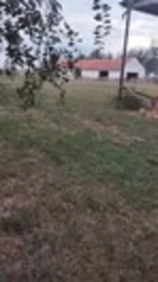 Opština Zrenjanin, Melenci | 4zida.rs