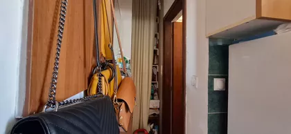 Leposave Vujošević | 4zida.rs