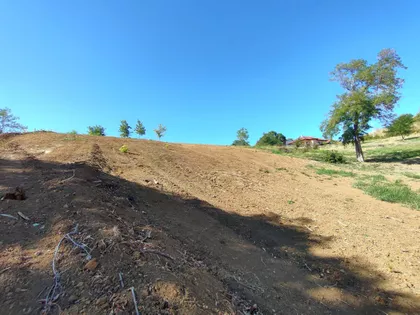 Sremska Kamenica | 4zida.rs