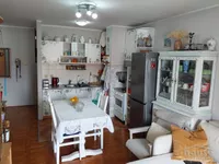 Nova Detelinara, Detelinara, Gradske lokacije, Novi Sad | 4zida.rs | 4zida.rs