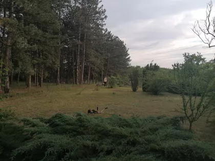 Devojački Bunar | 4zida.rs