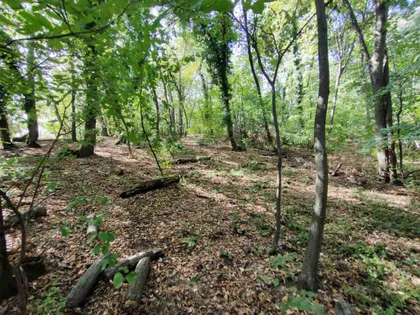 Okolne lokacije | 4zida.rs