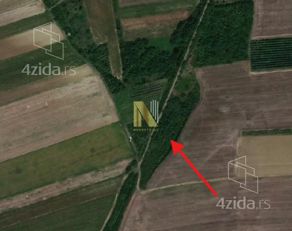Plac | 4zida