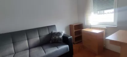 Vojvode Šupljikca | 4zida.rs