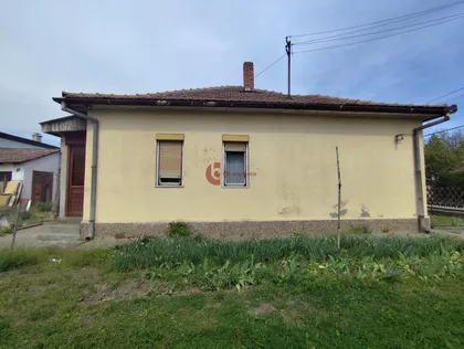 Mali Bajmok | 4zida.rs