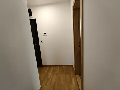 Dalmatinska | 4zida.rs