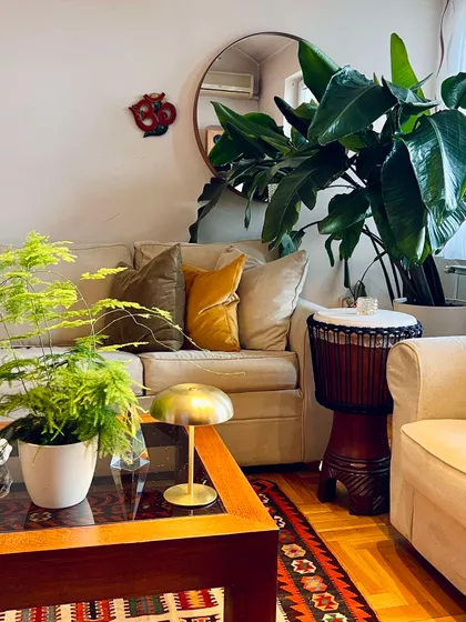 Bulevar Evrope | 4zida.rs