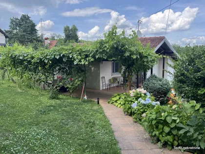 Trešnja | 4zida.rs