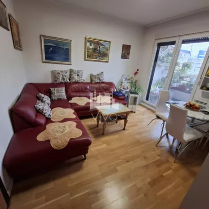 Любе Недич — фото