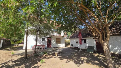 Palić | 4zida.rs