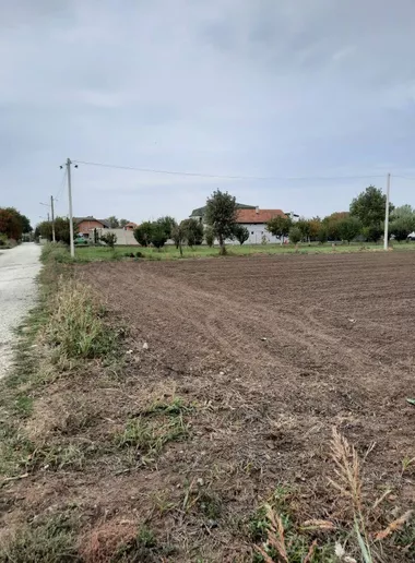 Misa Vinogradi