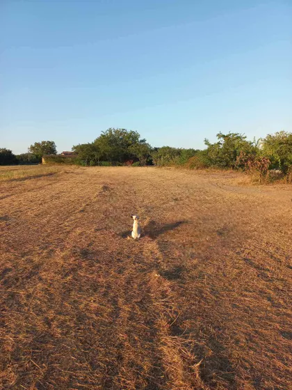 Put Edvarda Kardelja bb | 4zida.rs