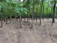 Makova Sedmica, Gradske lokacije, Subotica | 4zida.rs