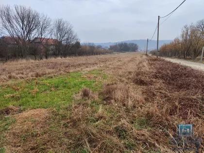 Trnava | 4zida.rs