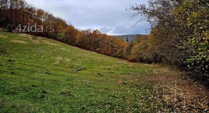 Plac | 4zida