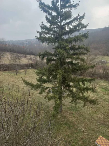 Moše Pijade | 4zida.rs