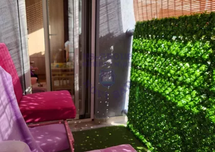 Nova Detelinara | 4zida.rs