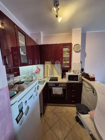 Cara Dušana | 4zida.rs