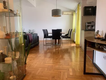Dragutina Ilkica Birke | 4zida.rs