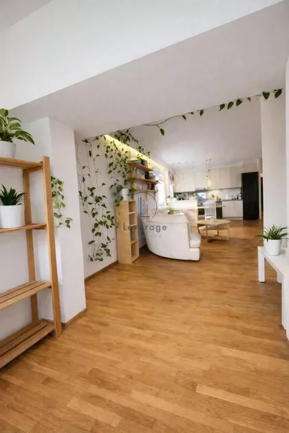 Dr Ivana Ribara | 4zida.rs