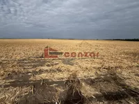 Bikovo, Okolne lokacije, Subotica | 4zida.rs