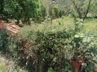 Kičevo, Medijana, Gradske lokacije, Niš | 4zida.rs