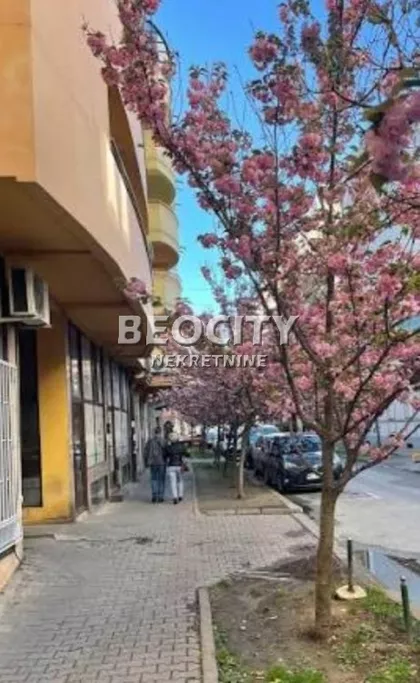 Petra Drapšina | 4zida.rs