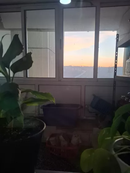 Nikole Tesle | 4zida.rs