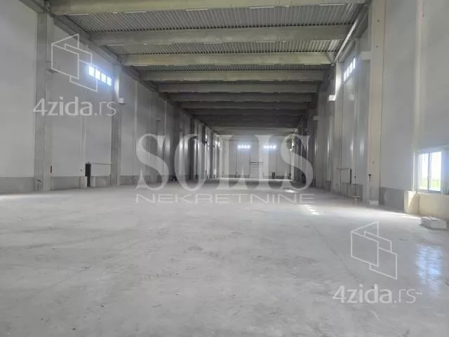 Hala | 4zida