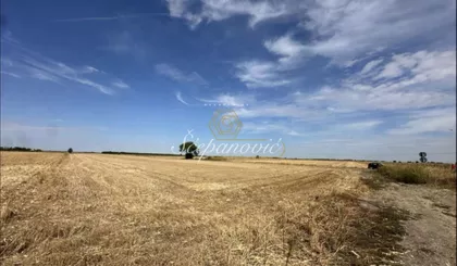 Stepanovićevo | 4zida.rs
