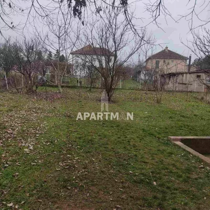 Zelenčeva | 4zida.rs