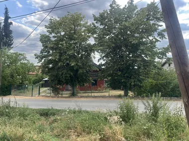 Vide Jocić