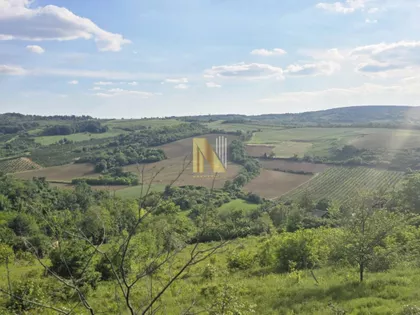 Fruška Gora | 4zida.rs
