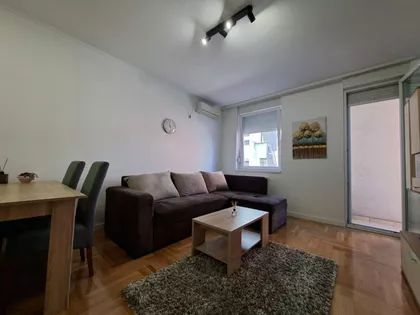 Vase Pelagića | 4zida.rs