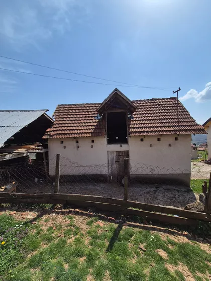 Negrišori  | 4zida.rs