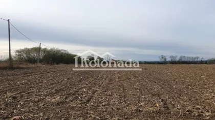 Nemenikuće | 4zida.rs