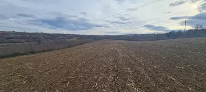 Žička | 4zida.rs