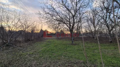 Palić | 4zida.rs