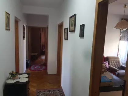 Rajićeva | 4zida.rs