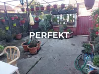 Pančevo, Gradske lokacije, Misa | 4zida.rs | 4zida.rs