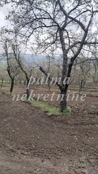 Poljoprivredno zemljište | 4zida